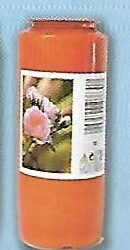 ΟΙΚΟΛΟΓΙΚΆ      ΚΕΡΙΆ